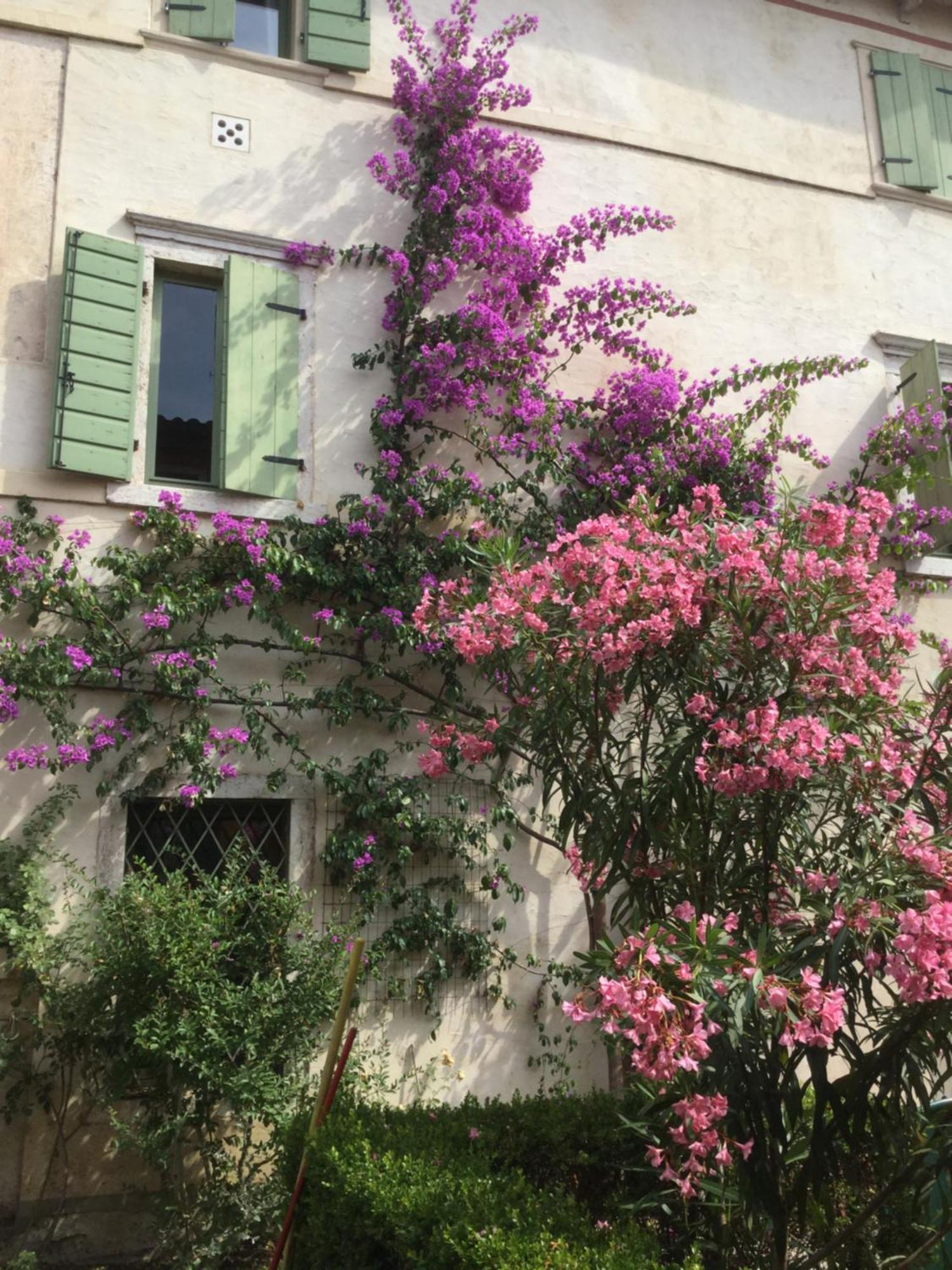 Villa Cisano Residenza D'Epoca باردولينو المظهر الخارجي الصورة