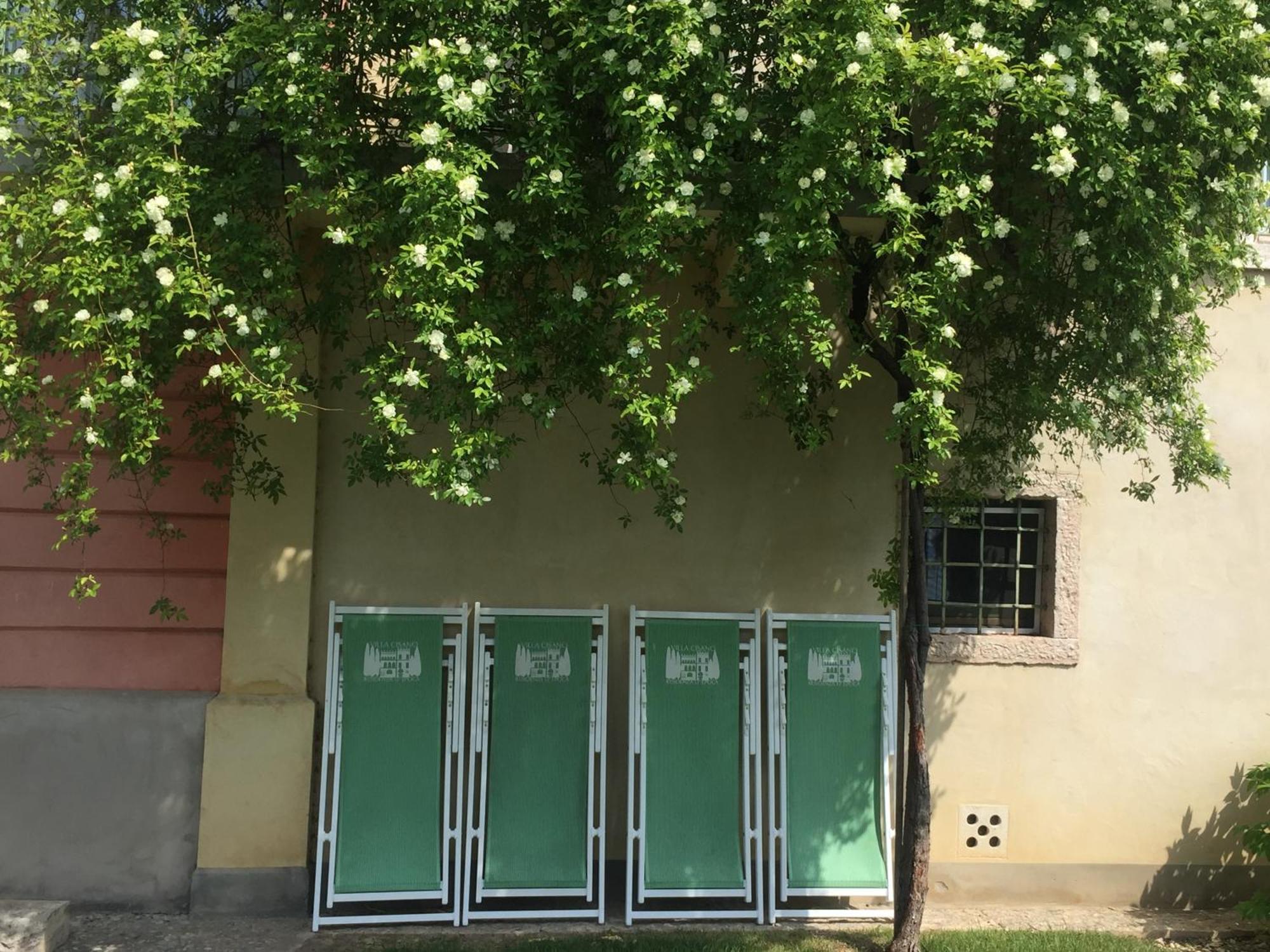 Villa Cisano Residenza D'Epoca باردولينو المظهر الخارجي الصورة